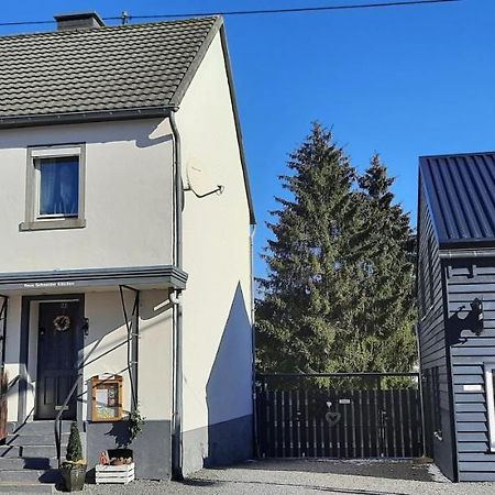 Deudesfeld Haus Schneider Kaetchenヴィラ エクステリア 写真